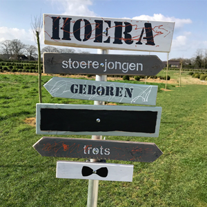 Geboortebord - Wegwijs bord | Jongen 